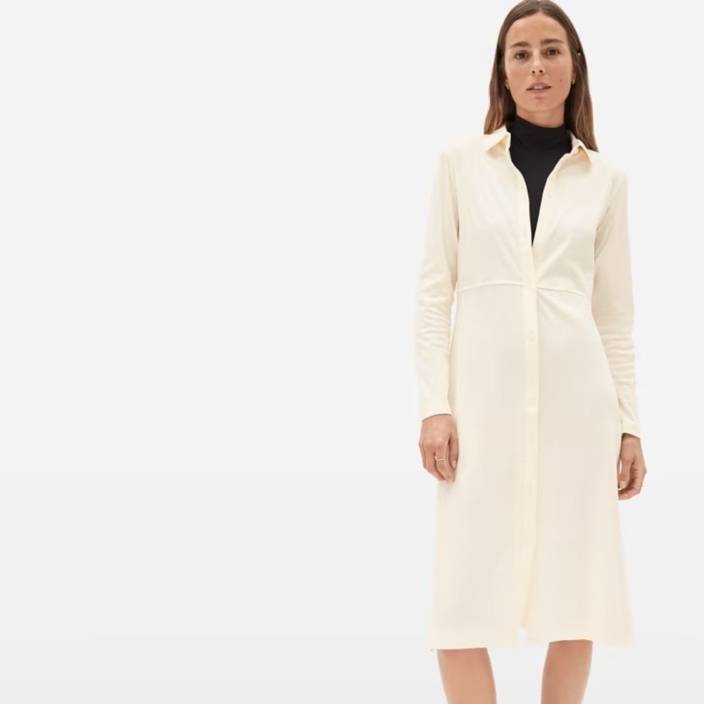 Everlane The Luxe Cotton Shirtdress